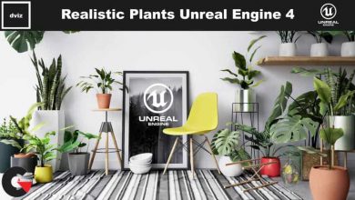 CGTrader – Realistic Plants Pack - Unreal Engine 4 Low-poly 3D model