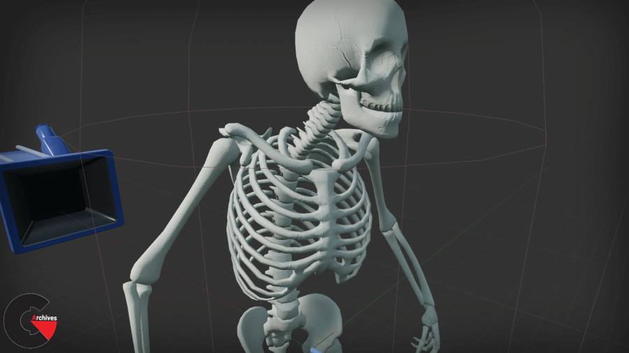 Skeletronix Procedural Skeleton Mesh Generation