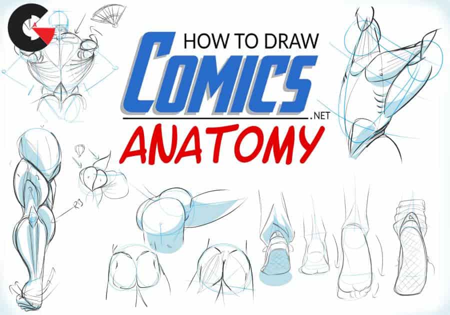 SkillShare - How To Draw Comics - Anatomy