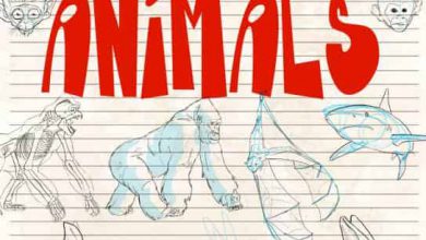 Skillshare - How To Draw Animals