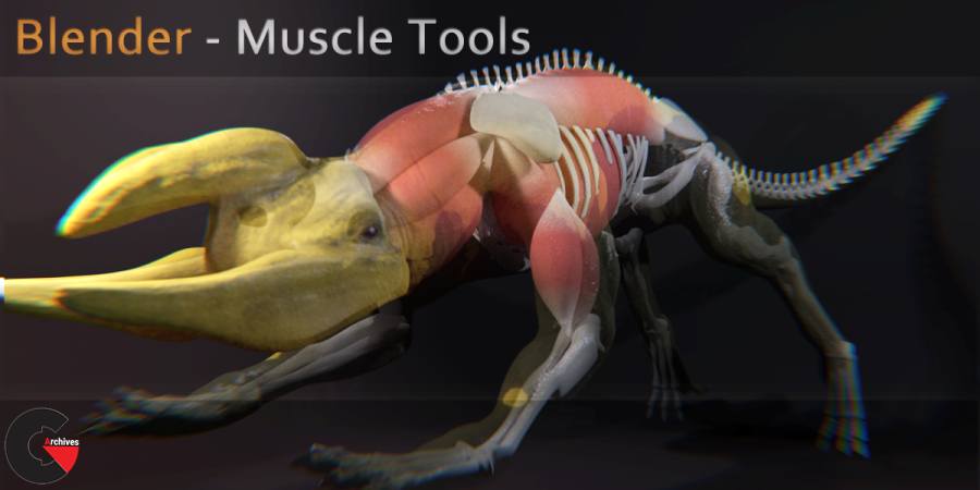 Transcend Hare At dræbe Blender Muscle Tools v1.5 for blender - CGArchives