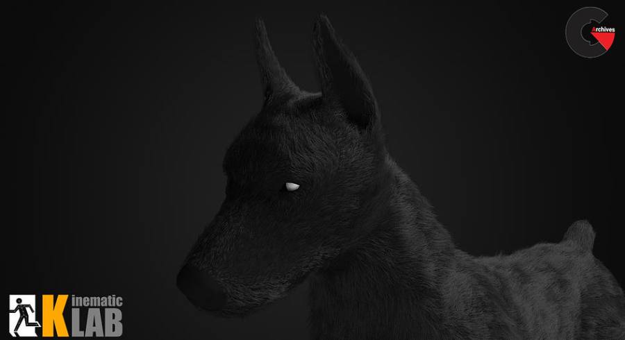 Fur Guides Painter for 3ds Max