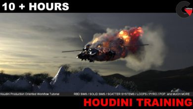 Gumroad - VFX Studio Oriented Houdini FX Training wIth Timucin Ozger