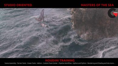 Gumroad - VFX Studio Oriented Masters of The Sea with Timucin Ozger