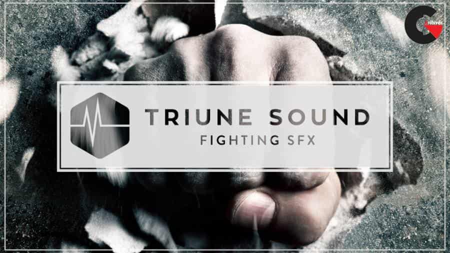 Triune Sound – Fighting SFX