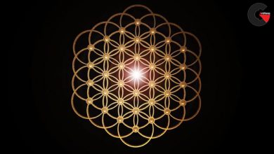 Udemy - Rhino 3D Grasshopper flower of life and other patterns full
