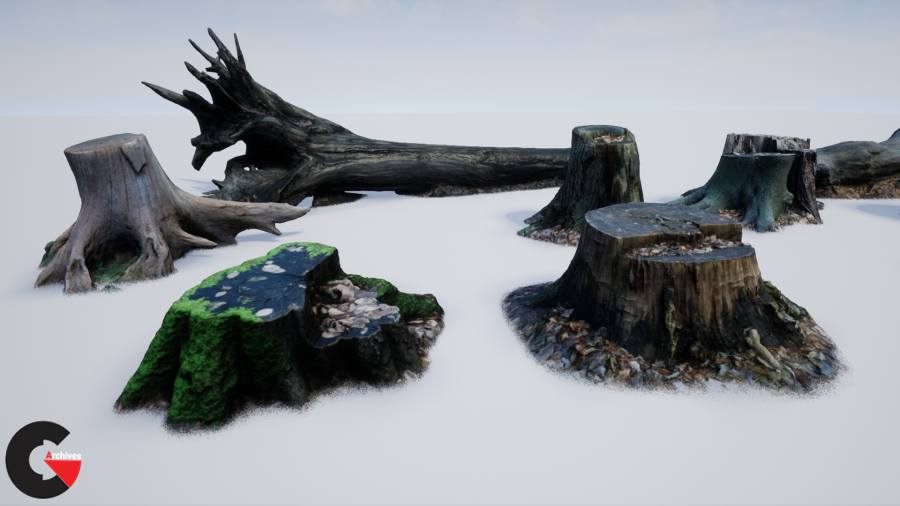 Photo-scanned Realistic Tree Stumps / Trunks