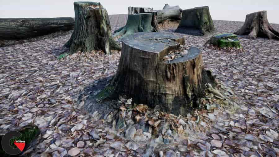 Photo-scanned Realistic Tree Stumps  Trunks