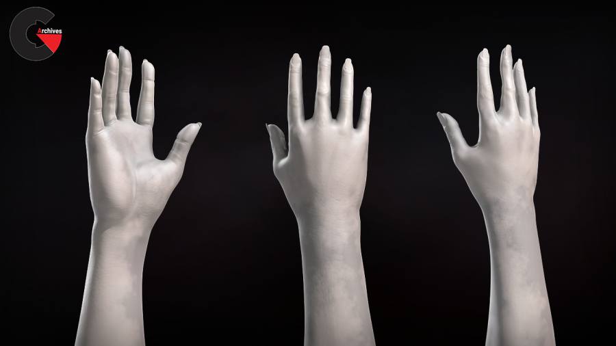 Sculpting Female Arms and Hands in ZBrush