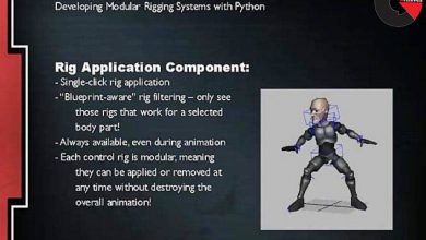 3DBuzz – Developing Modular Rigging Systems with Python