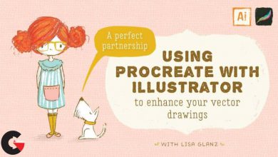 skillshare – Using Procreate with Illustrator to Enhance Your Vector Drawings