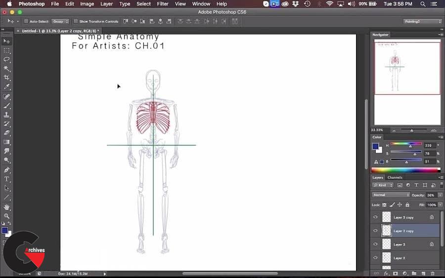 Skillshare – Simplified Anatomy For Artists