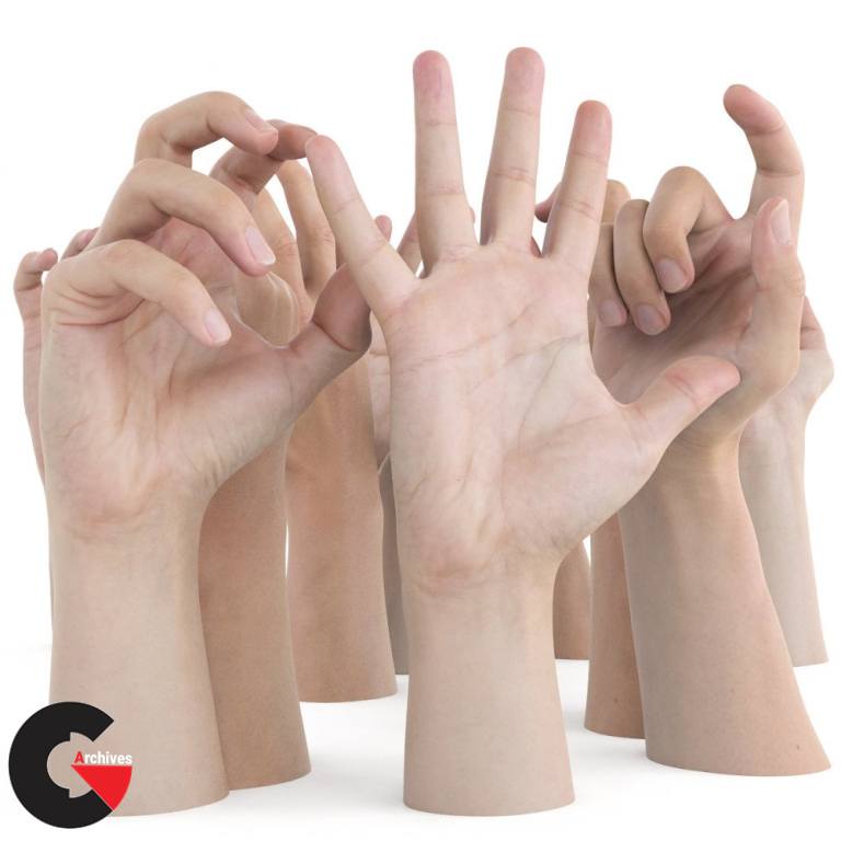 3D SCAN STORE – ULTIMATE MALE HANDS PACK