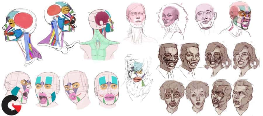 CGMaster Academy – Head Drawing and Construction