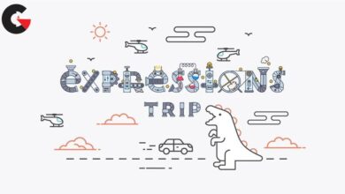 Motion Design School - Expressions Trip English (2019)
