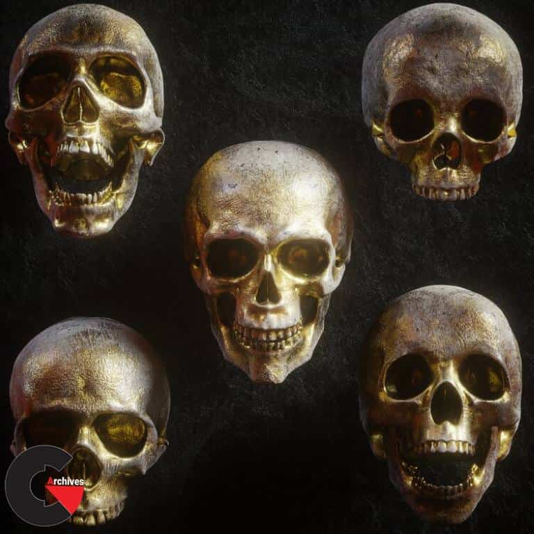 Billelis 3D Skull Model Pack Vol.1
