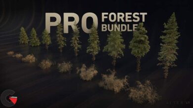 Gumroad – ALTER 49 – PRO Forest Bundle