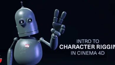 Helloluxx – Learn Intro to Character Rigging in C4D