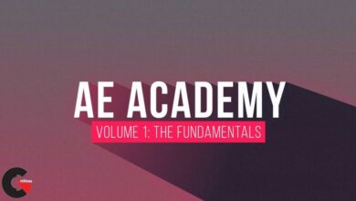 Motion Science - AE Academy Volume 1 The Fundamentals