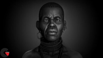 Pluralsight - Creating an Aged Portrait in ZBrush