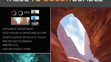 Ty Carter- Session 4 - value to color bundle
