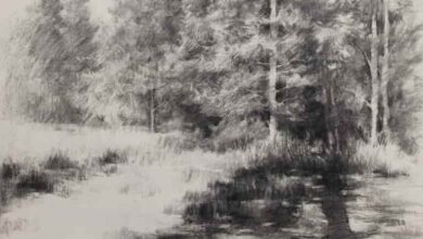 Watts Atelier - Drawing the Landscape from Photos in Charcoal