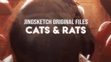 Gumroad - Cats & Rats, 7 Illustrations By Jingsketch