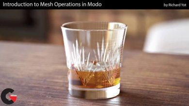 Gumroad – Mesh Operations in Modo – Introduction