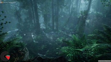 Unreal Engine - The Forest