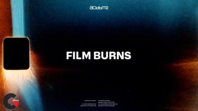 AcidBite - Film Burns