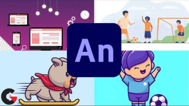 Adobe Animate cc The Beginner's Guide to Adobe Animate