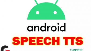 Asset Store - Android Speech TTS