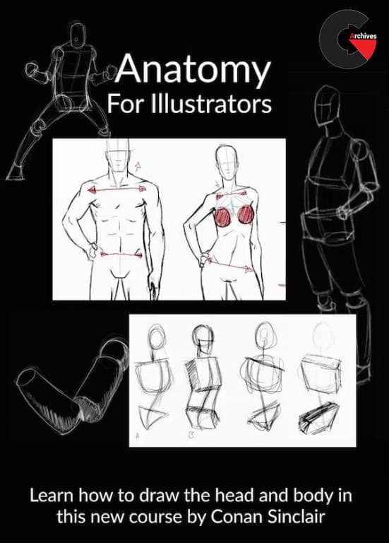 CartoonSmart - Anatomy for Illustrators