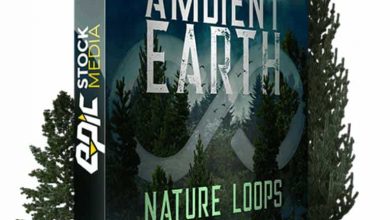 Epic Stock Media – Ambient Earth Nature Loops