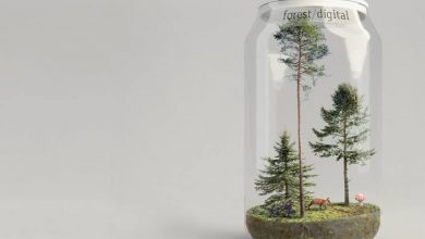 Forest Digital – Trees Vol.4
