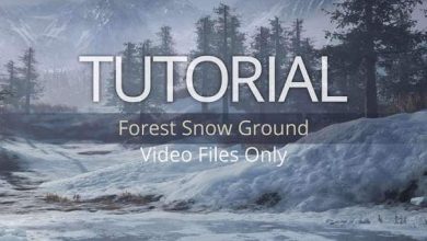 Gumroad – Forest Snow Ground Complete Package