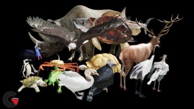 Unreal Engine - Complete Animals