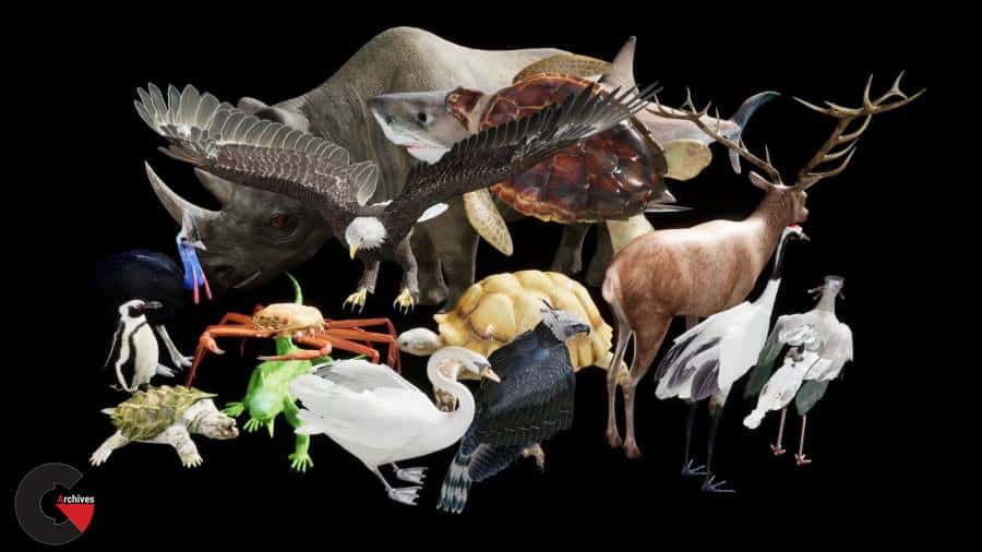 Unreal Engine - Complete Animals 