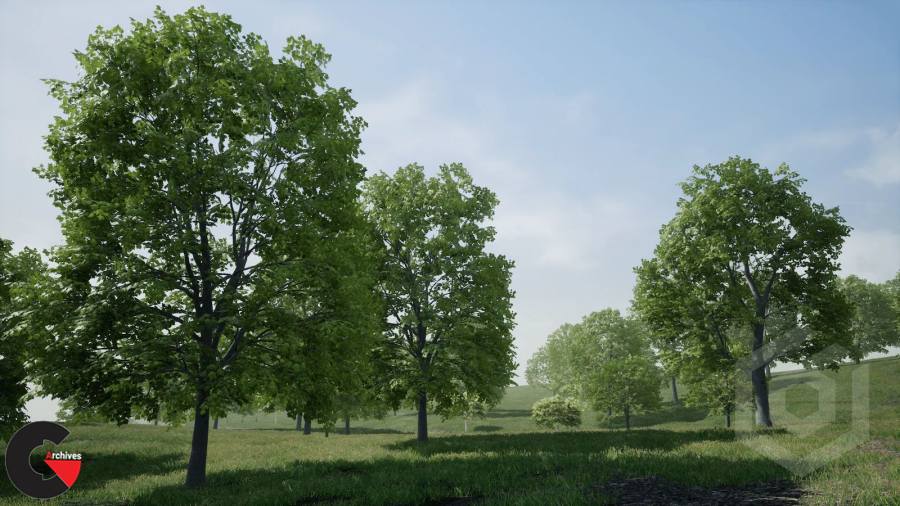 Unreal Engine - Trees: Maple Tree