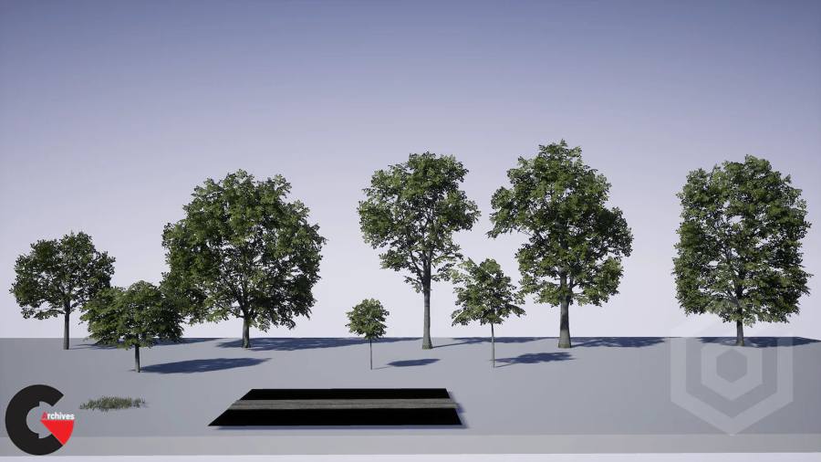 Unreal Engine - Trees: Maple Tree