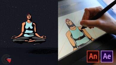 Animating Light and Shade in 2D With Animate and After Effects