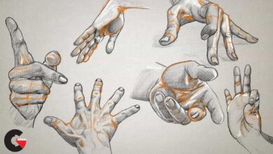 Drawing the Arms and Hands : In this series of lessons we'll learn how to draw human arms and hands We will begin by learning about the anatomy and