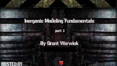 Inorganic Modeling Fundamentals by Grant Warwick