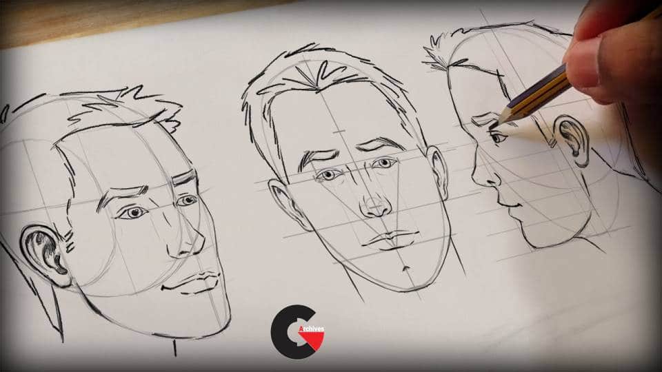 How To Draw A Human Head Draw Human Heads Step by Step Drawing Guide by  catlucker  DragoArt