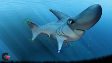 Modeling and Rigging a Cartoon Shark in 3ds Max