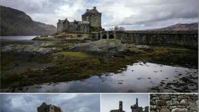 PHOTOBASH – Scottish Castles