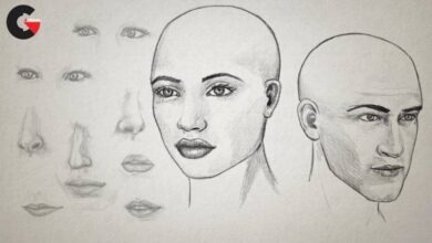 Drawing Facial Features