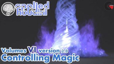 Applied Houdini Volumes VI version 2.0 - Controlling Magic