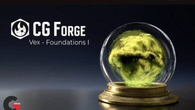 Cgforge - Vex Foundations 1