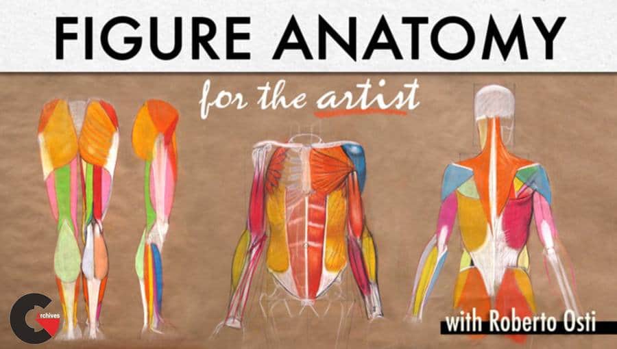 Craftsy - Figure Anatomy for the Artist with Roberto Osti